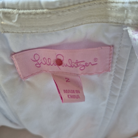 Lilly Pulitzer Dress Bird Is The Word Pink Embroidered Strapless Mini Size 2 - Picture 9 of 13